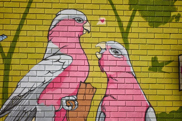 A mural of two pink and grey galahs by HOPE