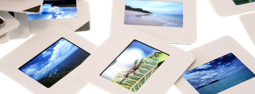 photo slides on a white background