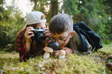 Contribute wildlife sightings as a citizen scientist
