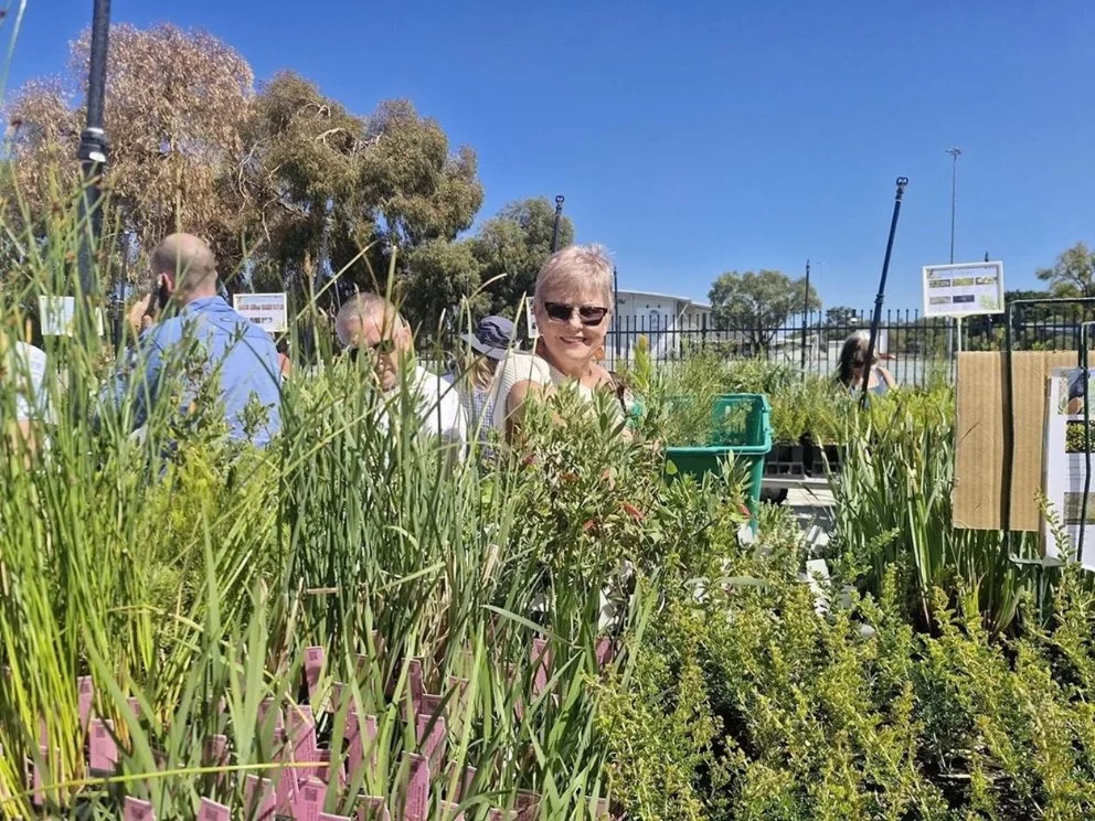 Native Plant Giveaway 2026 free plants were given away to the community