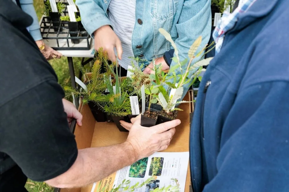 10,000 free plants were given away to the community