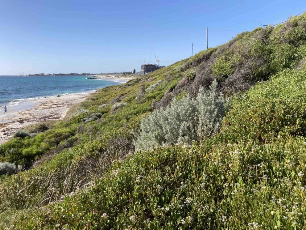 After: Sorrento Beach South in December 2025