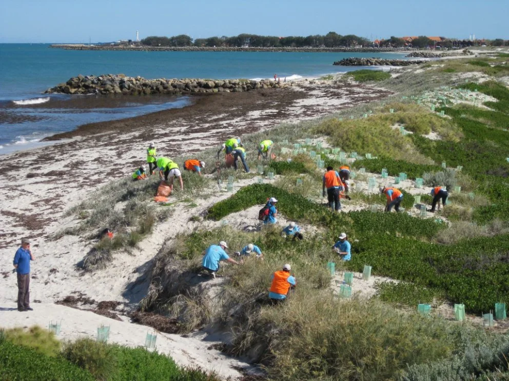  Volunteers working at Sorrento Beach foreshore 