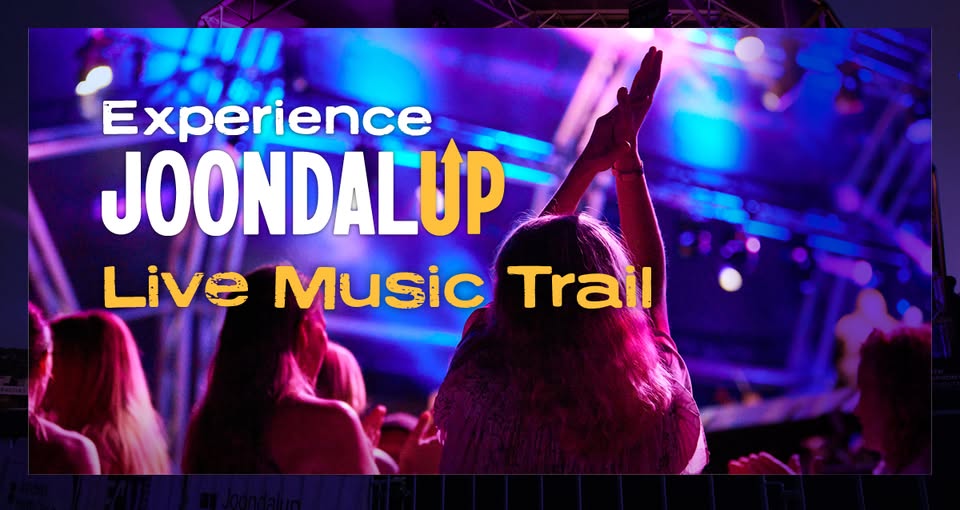 People dancing at a concert