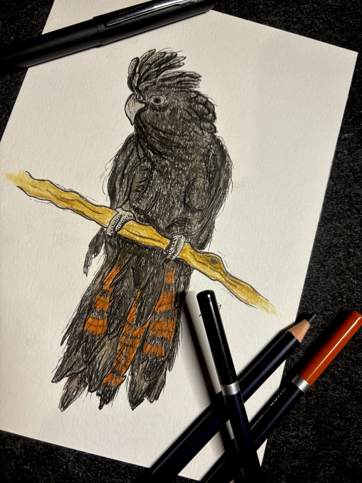 SOLD OUT - Discovery Session - Native wings workshop