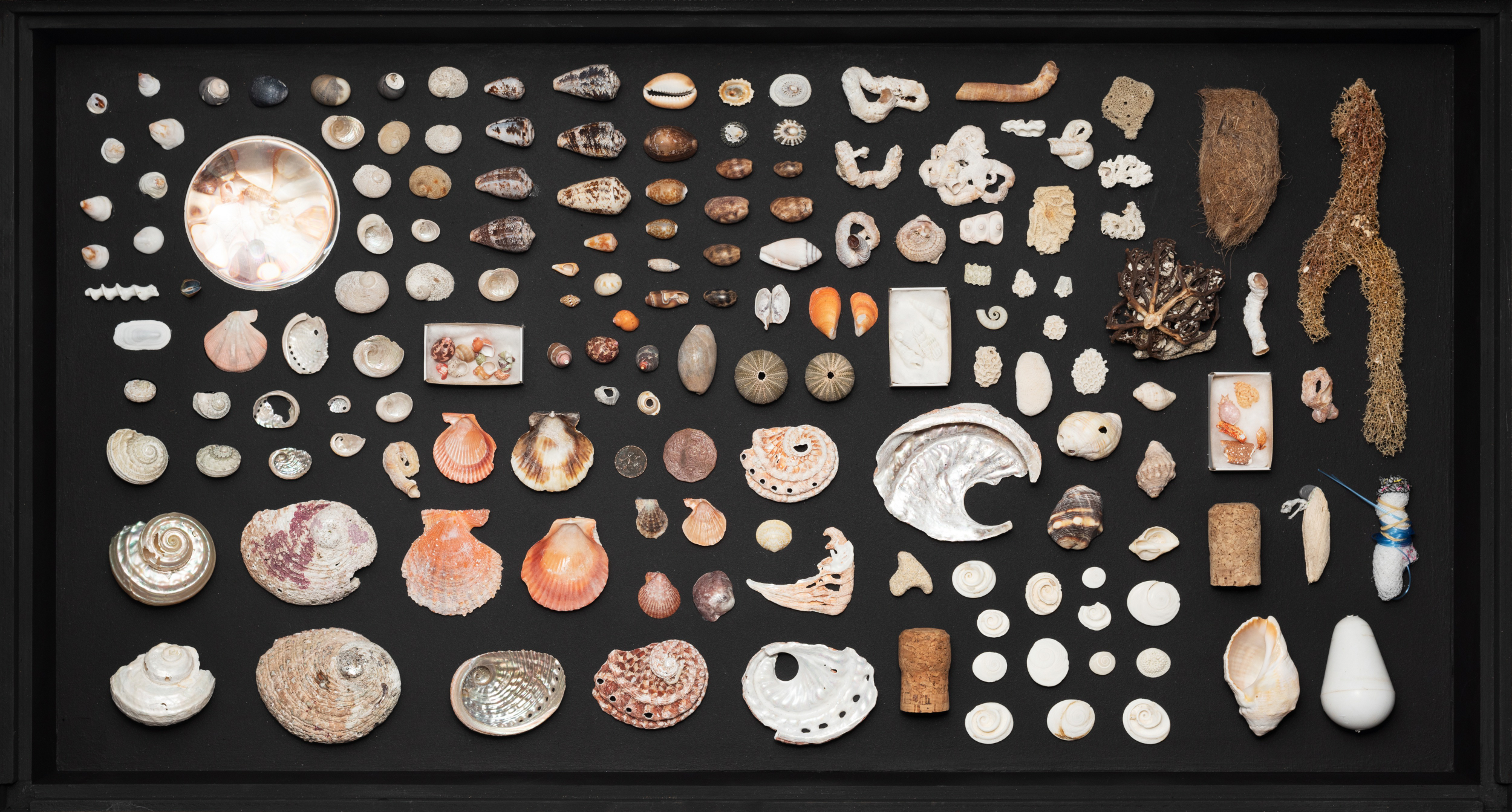 A detailed view of Perdita Phillips’ Joondakammer: A Cabinet of Curiosity for Joondalup featuring arranged natural objects including feathers, nuts, seed pods.