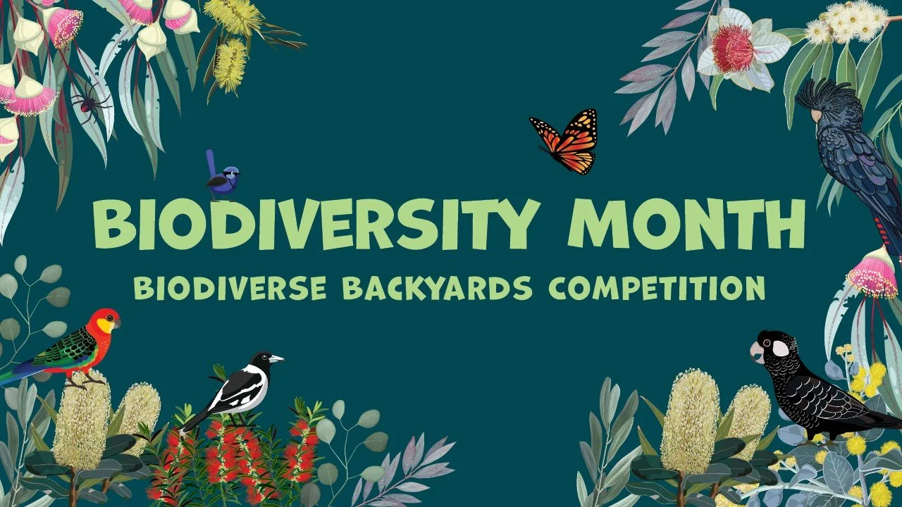 Illustrated poster with native Australian birds, plants, and a butterfly promoting Biodiversity Month.
