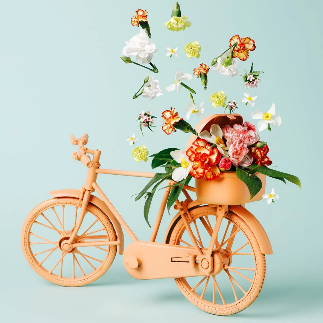 Cover of the spring events guide