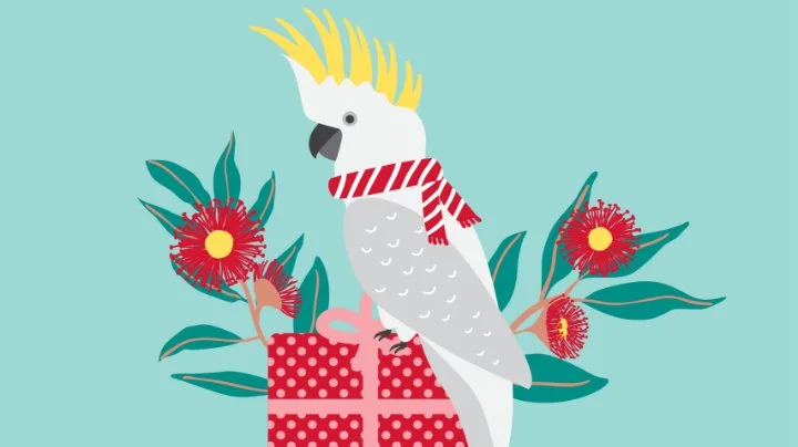 Cover of guide with teal background with white parrot