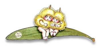 SOLD OUT - Discovery Outbound - May Gibbs Gallery