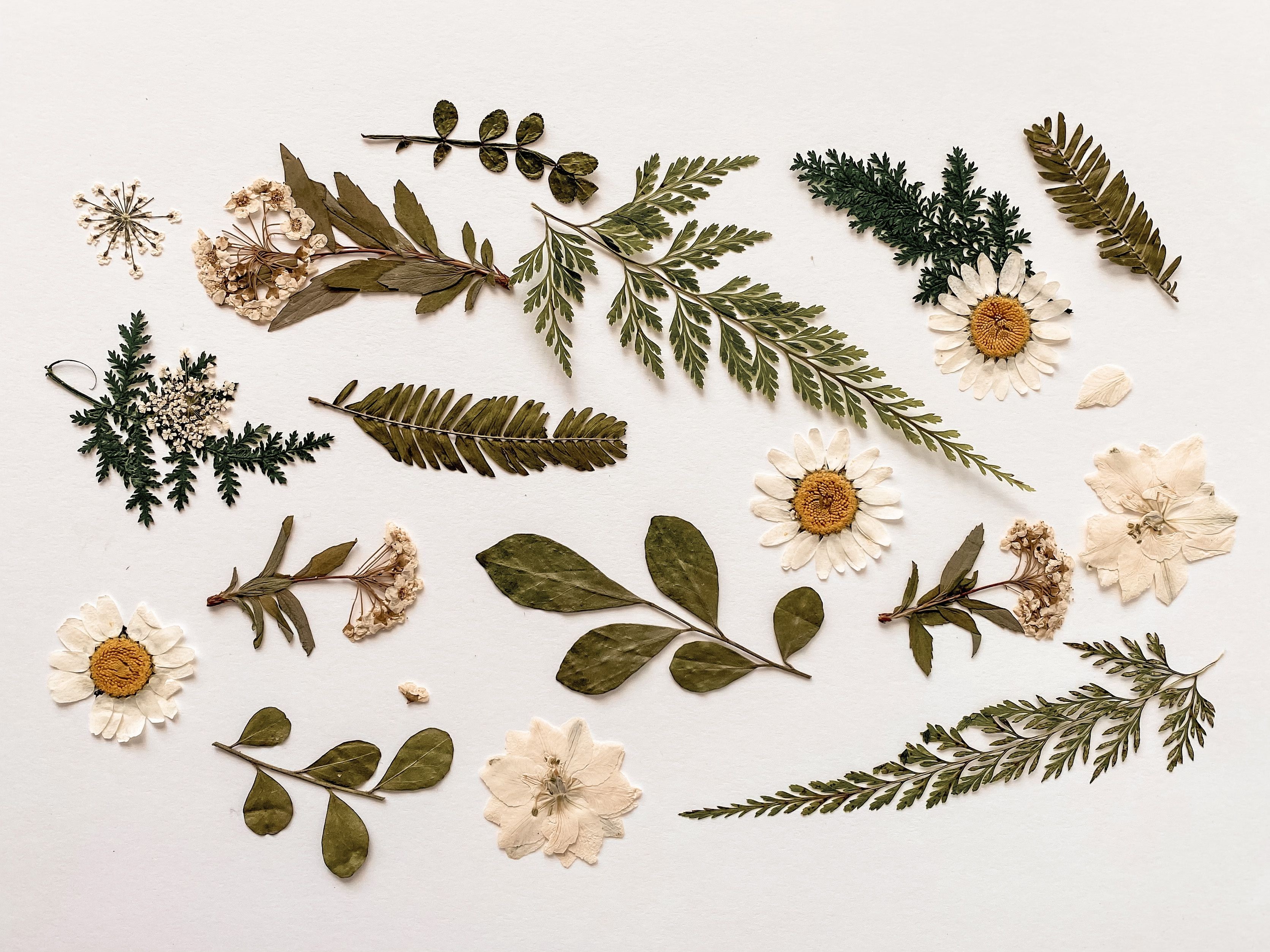 Flower Pressing Workshop