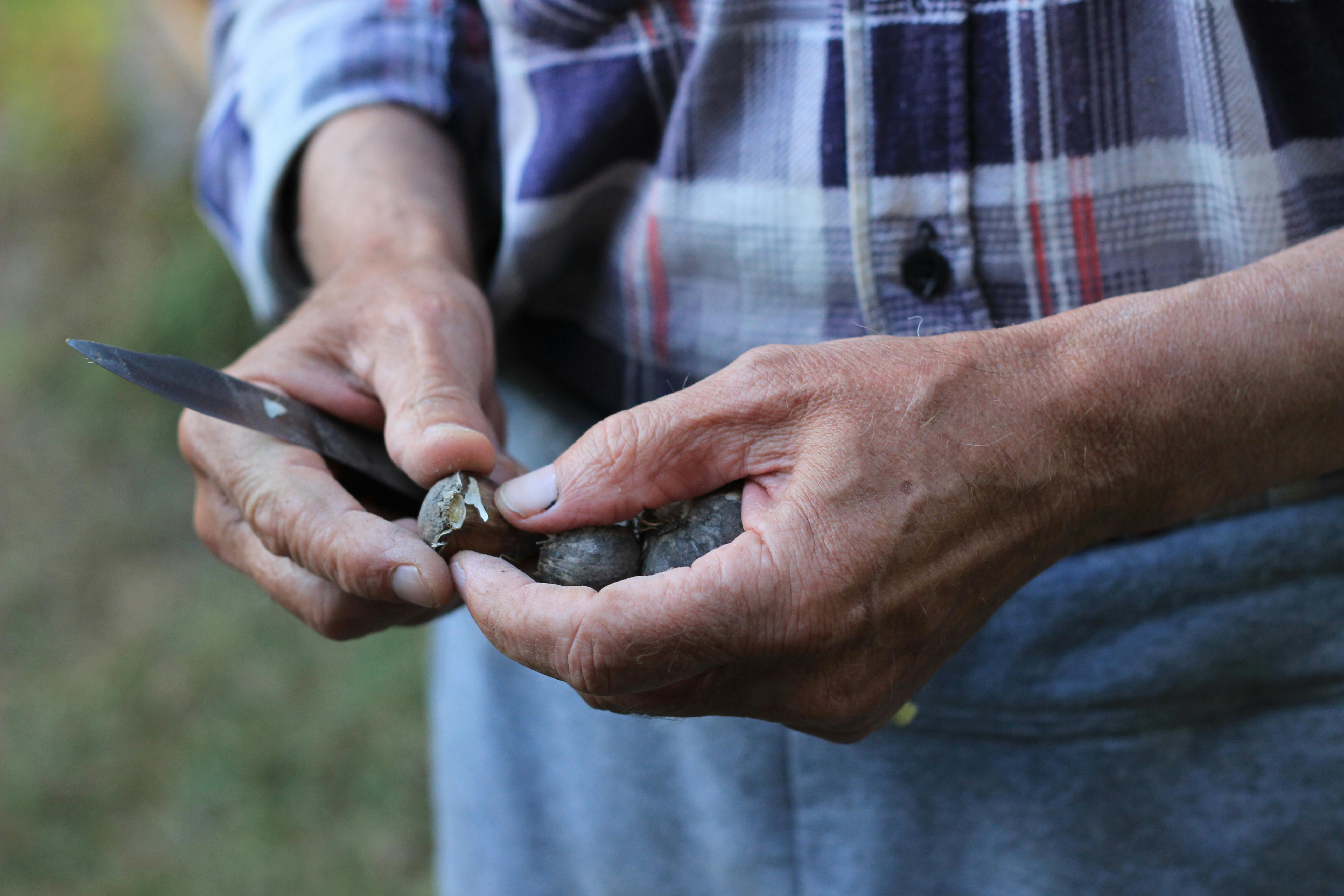 Toolmaking and Artefacts Workshop