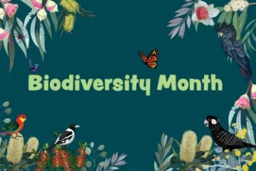 Illustrated poster with native Australian birds, plants, and a butterfly promoting Biodiversity Month.