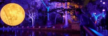 Large, soft, yellow coloured moon light hanging from trees with blue and violet lights lighting up trees in the back to create a beautiful light display called Bloom