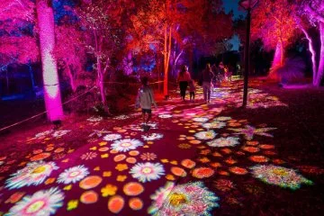 People enjoying a light installation at Bloom