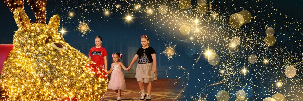 Two girls admire festive fairy lights wrapped around a tree at night in Joondalup City Centre.