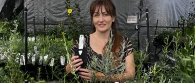 Joanne Burgess from Wildflower Society of WA's Northern Suburbs Nursery