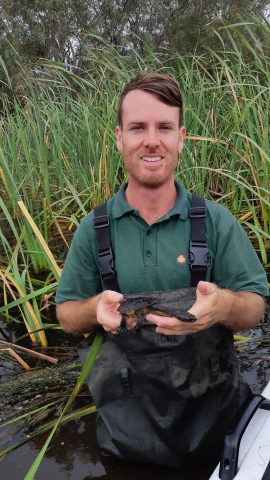 Dr Anthony Santoro and the Saving our snake-necked turtle project